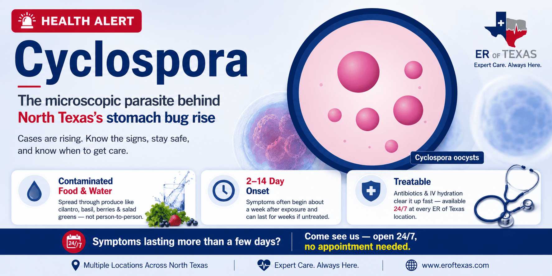 Texas Health Alert: Ongoing Stomach Illness (Cyclospora)