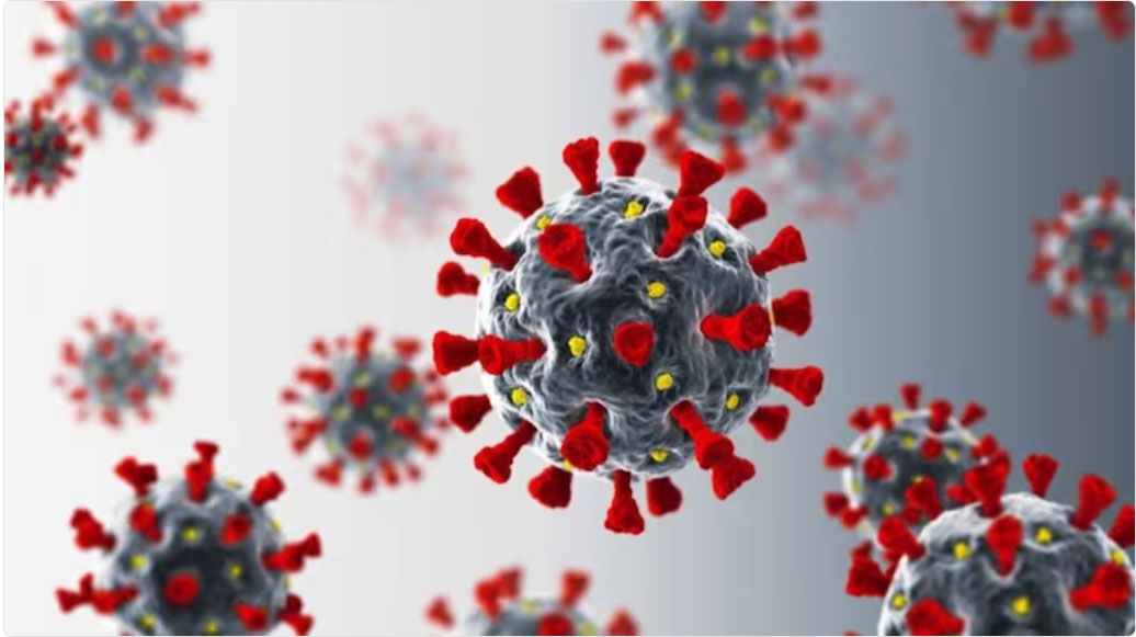 7 Things to Know About the COVID Summer Surge.