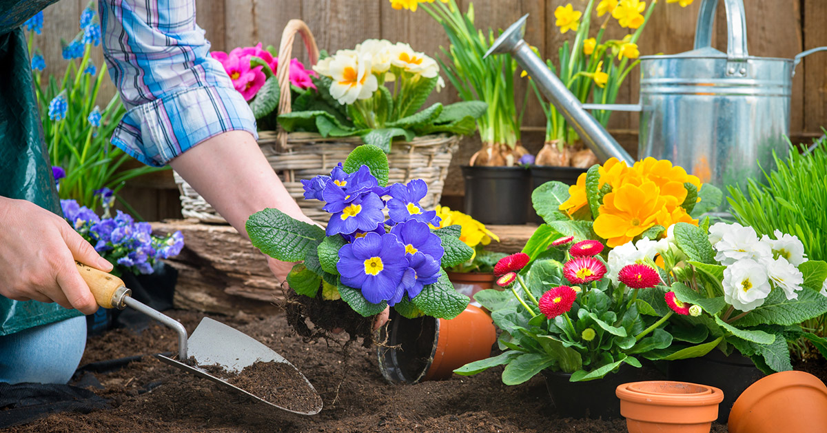 Spring outdoor safety tips to avoid common yard work injuries include wearing protective gear, applying sunscreen, staying hydrated, and operating tools with care.